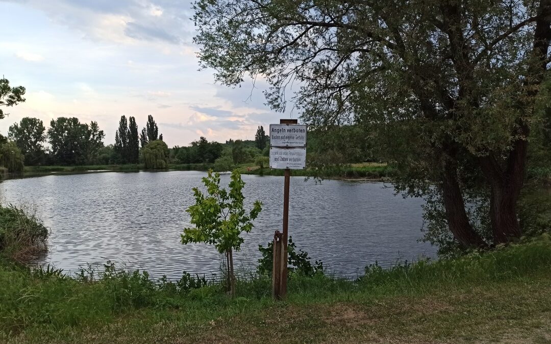 Runde 24: Hausstreck – Dettelbach, Schwarzach, Hörblach